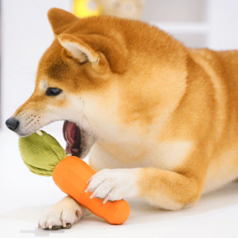 Close-up of the Carrot Crunch Squeaky Chew Toy, showcasing its durable rubber design.
