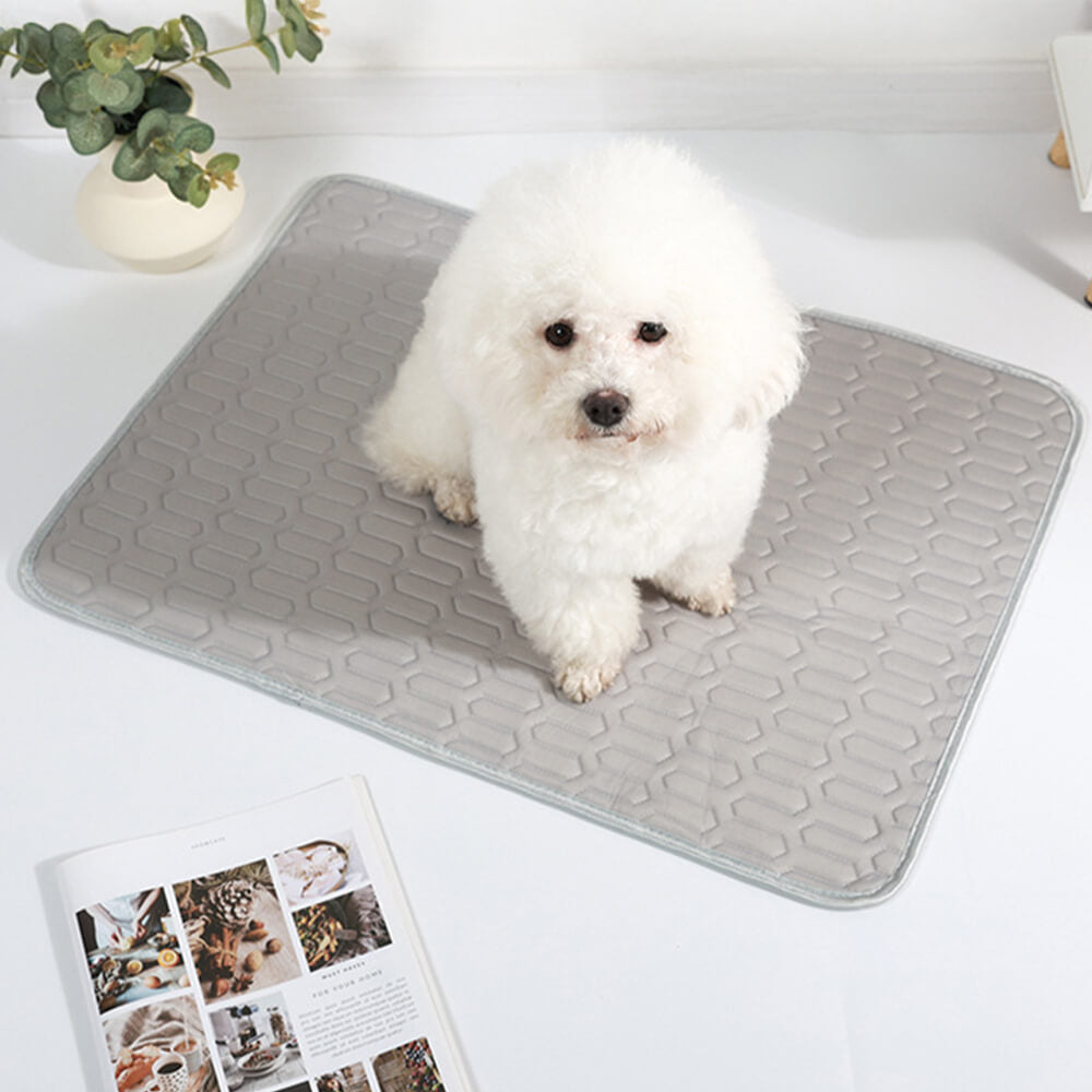 Cooling Bliss Pet Mat in use on a sofa, keeping a dog cool and comfortable