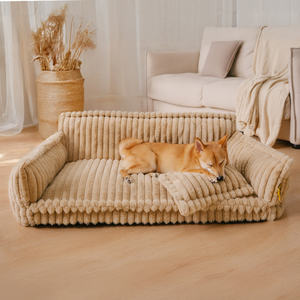 ComfortPaws Orthopedic Dog Bed - Snoozy Dream, large dog bed with removable cover