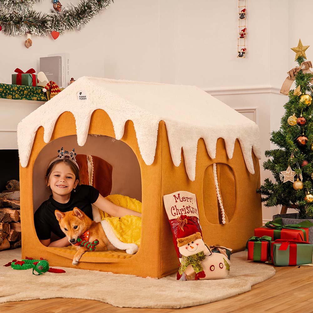Front view of Gingerbread Snow House pet tent with open doorway