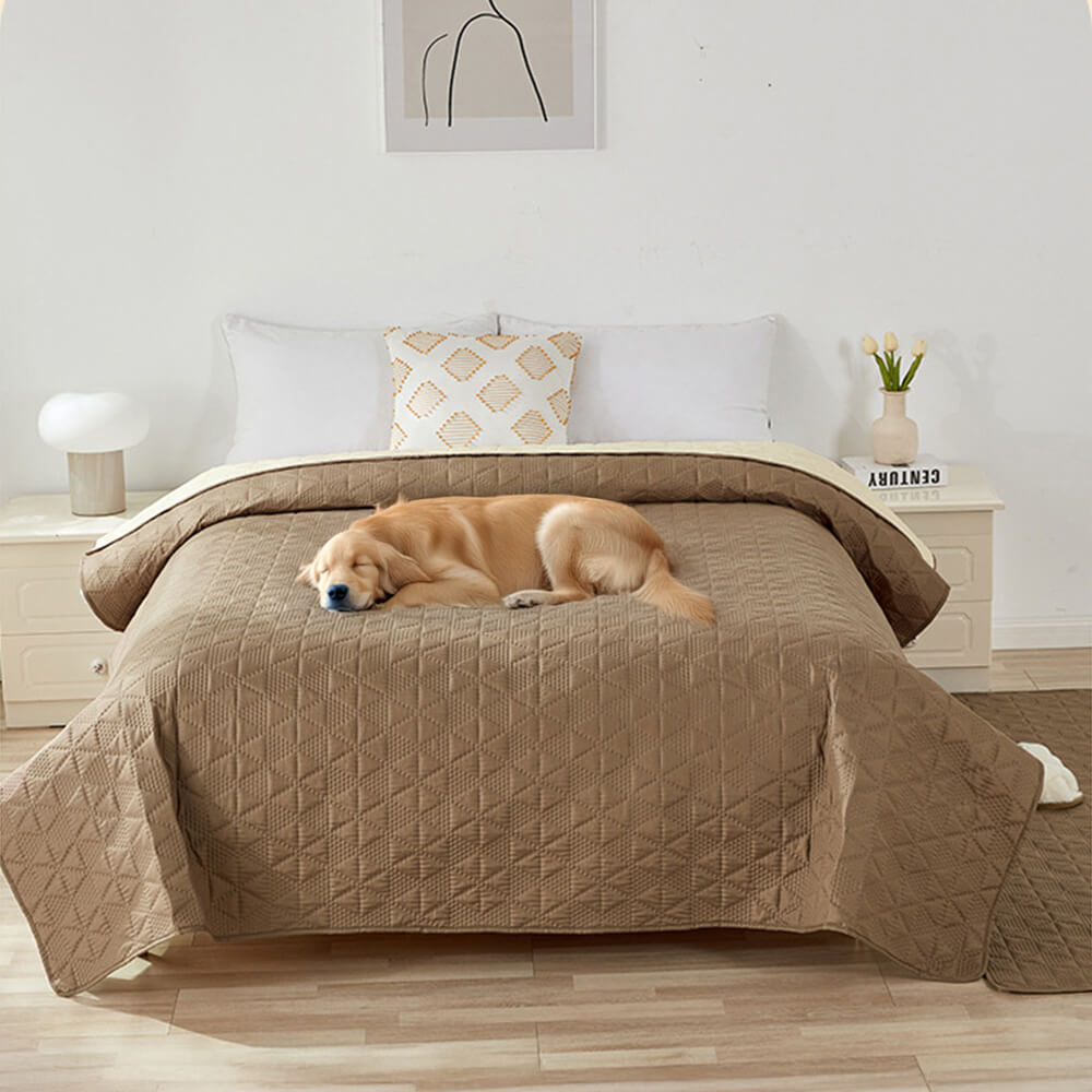 Versatile waterproof pet mat on a couch, showcasing stylish design and comfort.