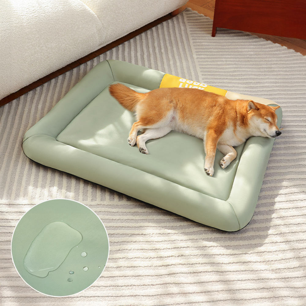 A cozy dog sleeping soundly on the ZenPaws™ Ultra-Durable Pet Comfort Mat, showcasing its raised bolster and colorblock design in a living room setting.