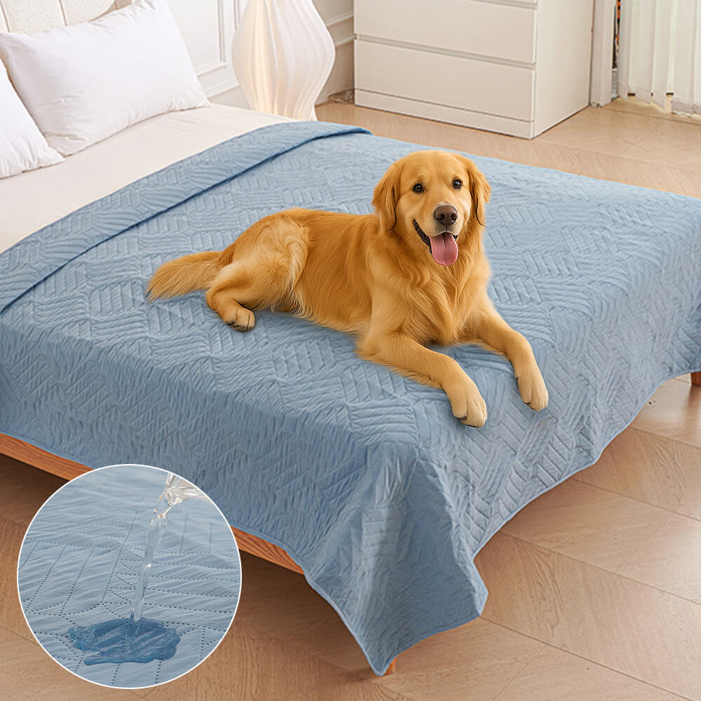 Water-resistant pet blanket cover protecting a couch from pet accidents