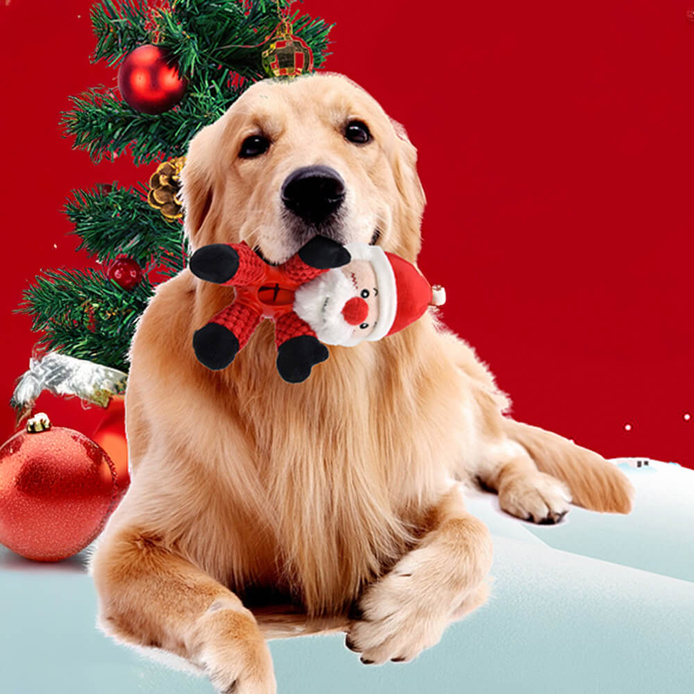Close-up of red-and-white Santa dog toy with treat slots on textured rubber surface