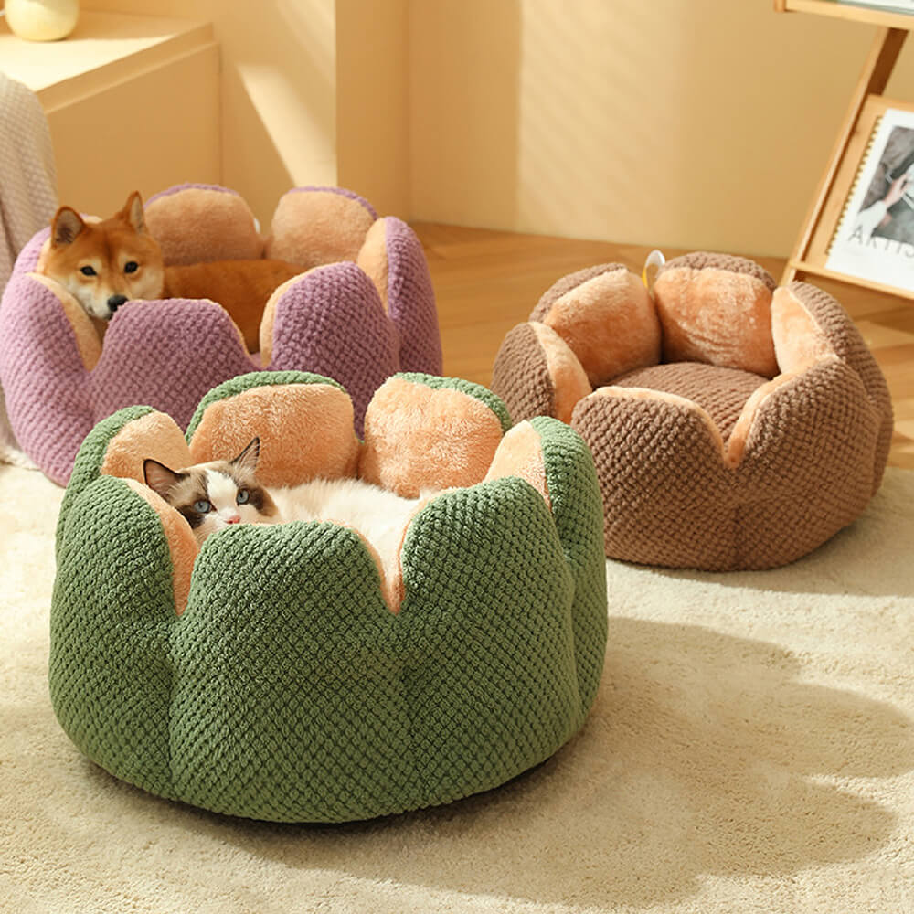 Top-down view of cactus pet bed showing flower petal design and plush interior