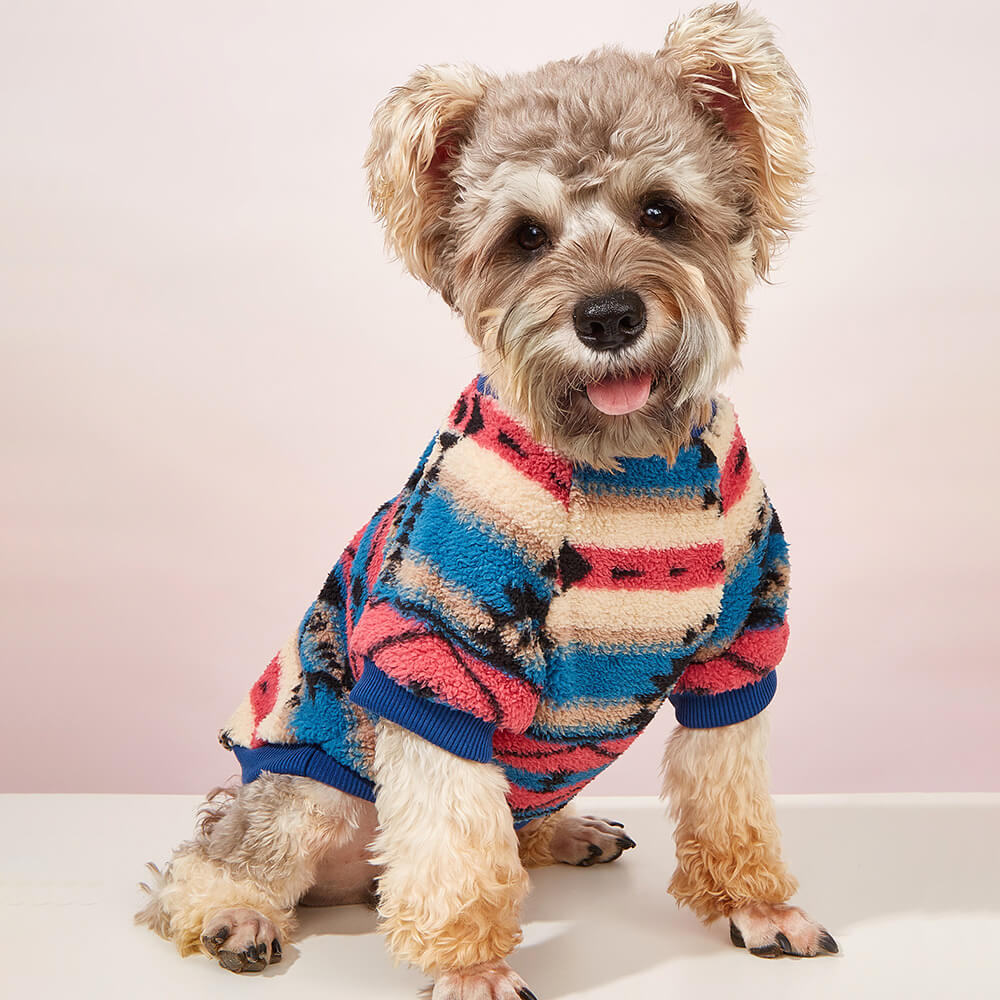 Front view of colorful striped dog sweater on a small dog