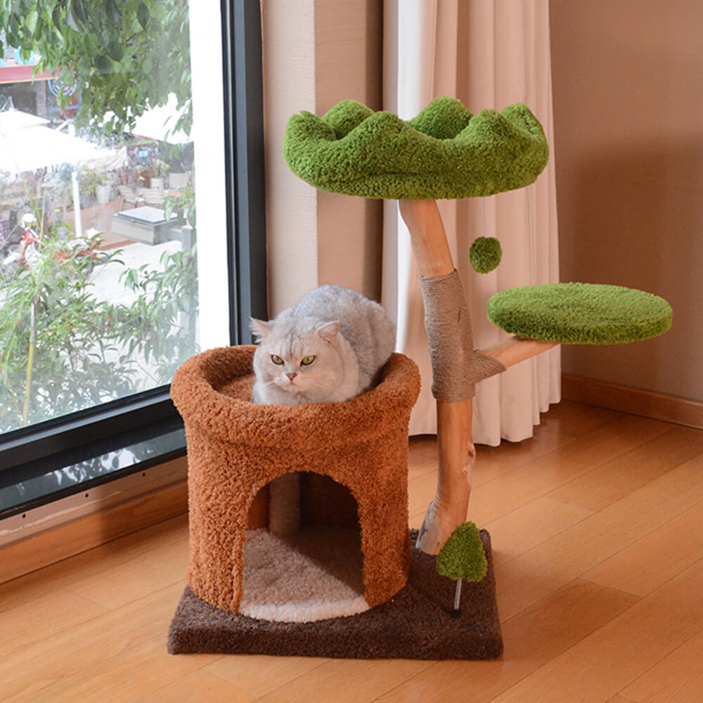 EcoNest Fruit Wood Cat Tree with Cave, featuring a natural fruit wood construction and cozy enclosed cave