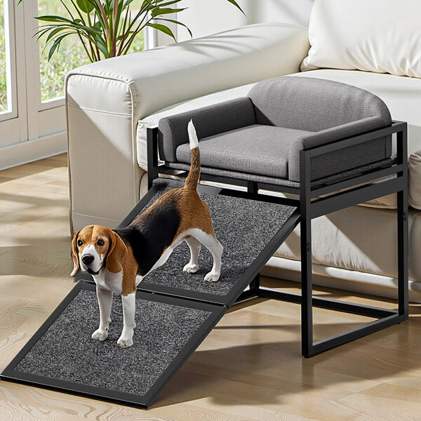 Elevated pet sofa bed with stairs and ramp, perfect for small dogs and cats