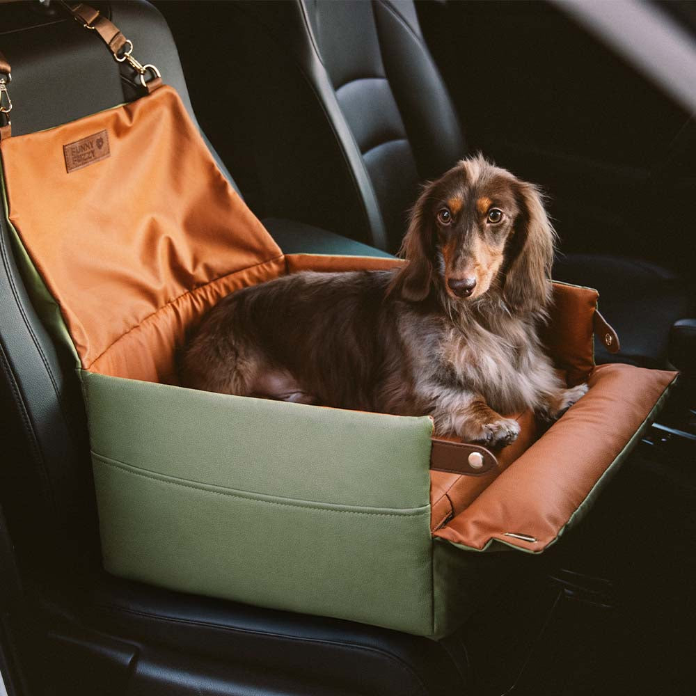 Small dog enjoying the view from the elevated faux leather car seat