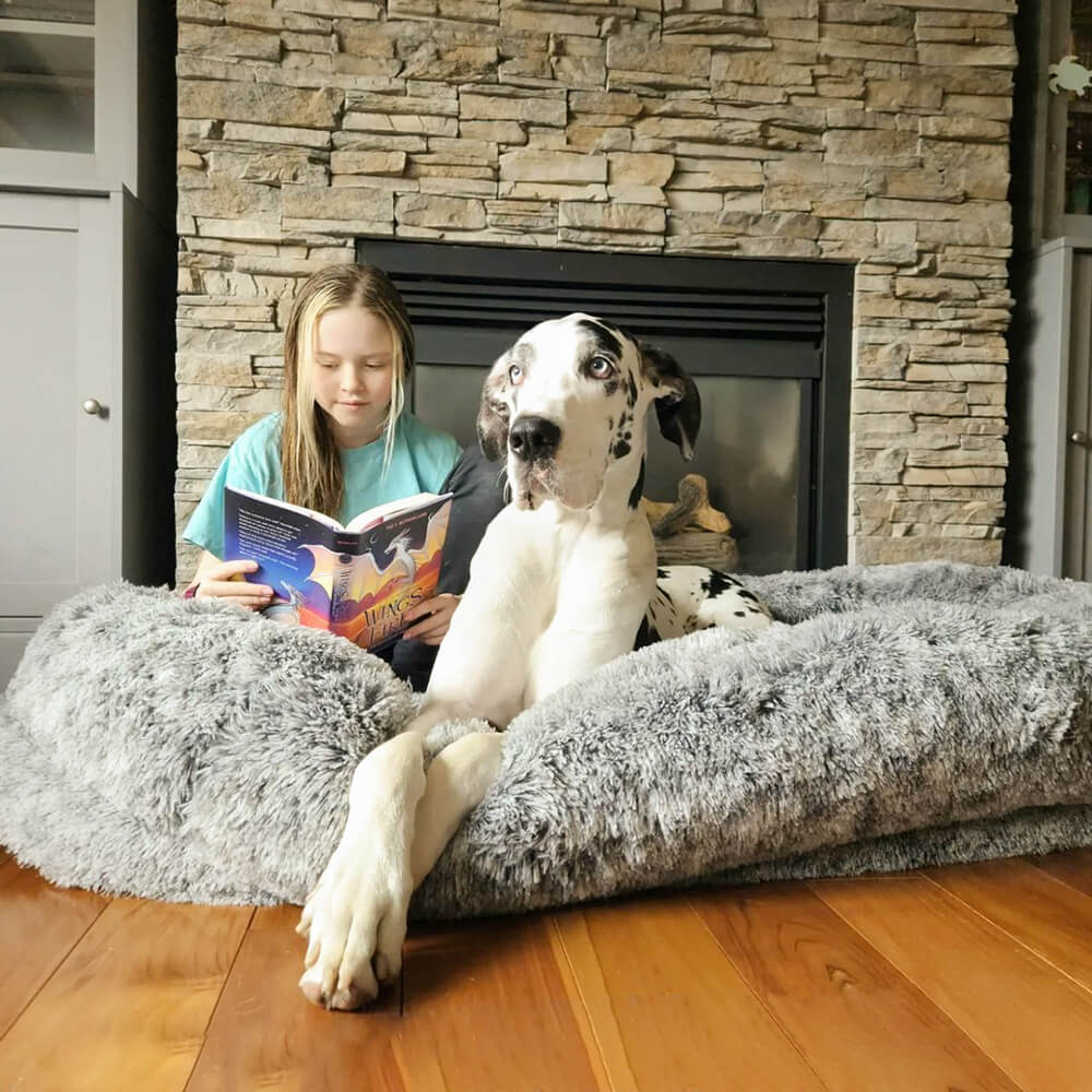 Top view of the SnuggleNest XL human dog bed with blanket, showing its oval shape and plush texture.