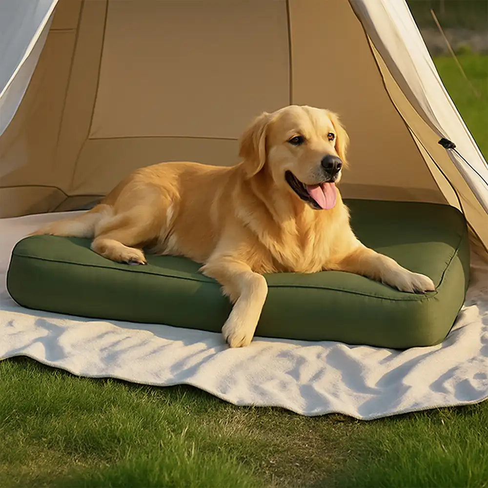 TrailNest dog bed fully inflated on a campsite with golden retriever lying comfortably