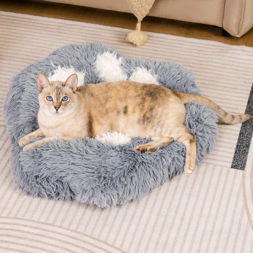 Close-up of plush cozy cat bed with raised edges for security