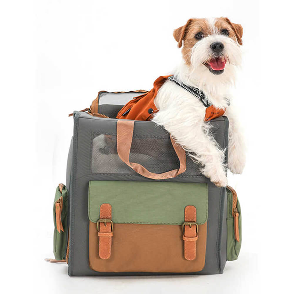 Dual-color pet carrier backpack for outdoor adventures