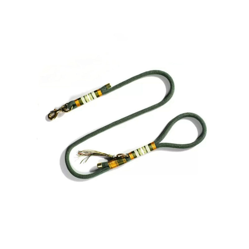 Hand-knitted braided rope dog leash in use with a large breed dog