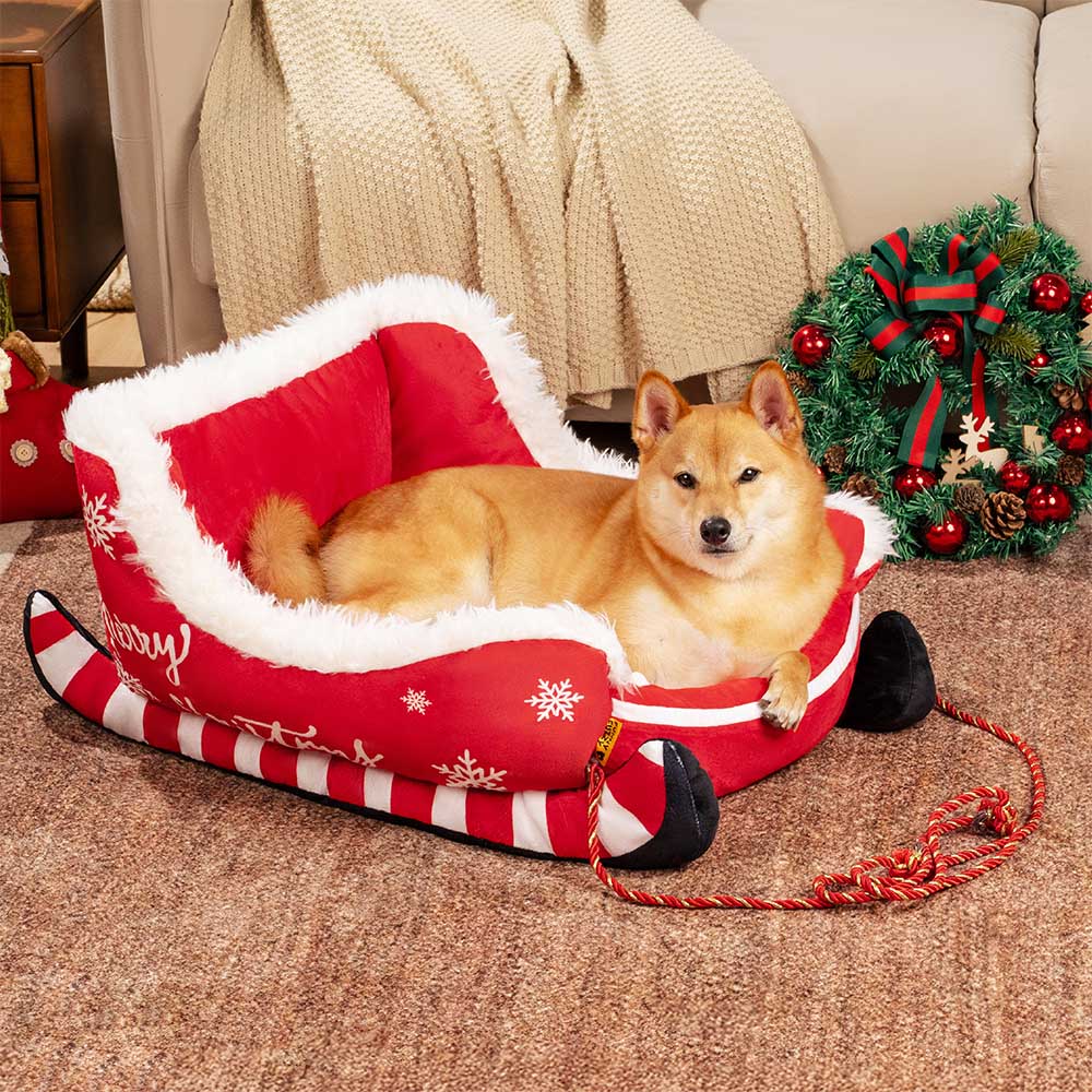 Top view of the cozy dog sleigh bed showing plush interior and festive trim