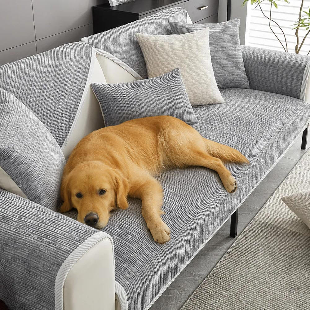 PawsomeGuard Waterproof Chenille Couch Cover on a sofa with pets