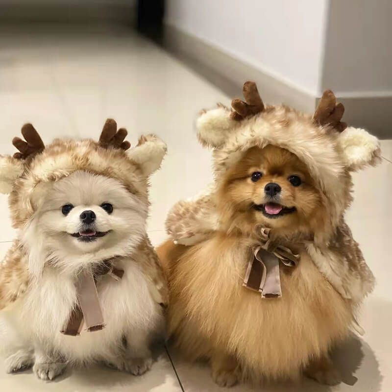 Plush elk cape dog costume on a pet, perfect for Halloween or Christmas