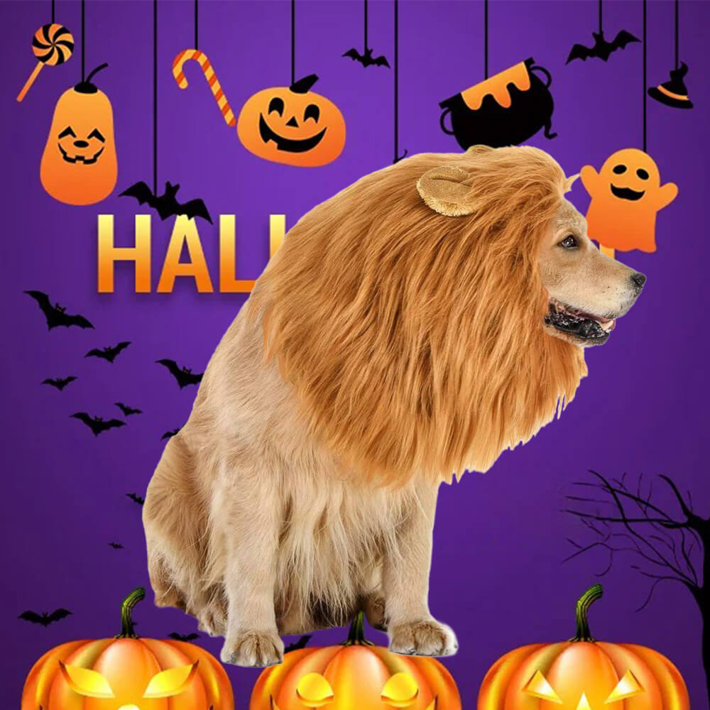 RoarLion Dog Costume on a dog, showcasing the realistic lion mane