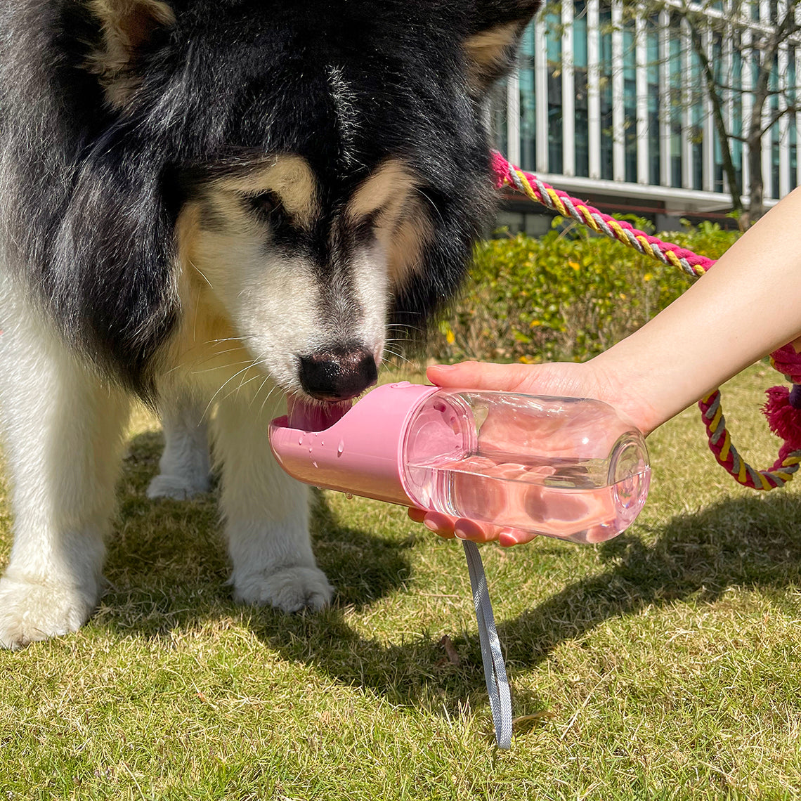 Close-up of portable dog water bottle with bowl for hiking and outdoor use