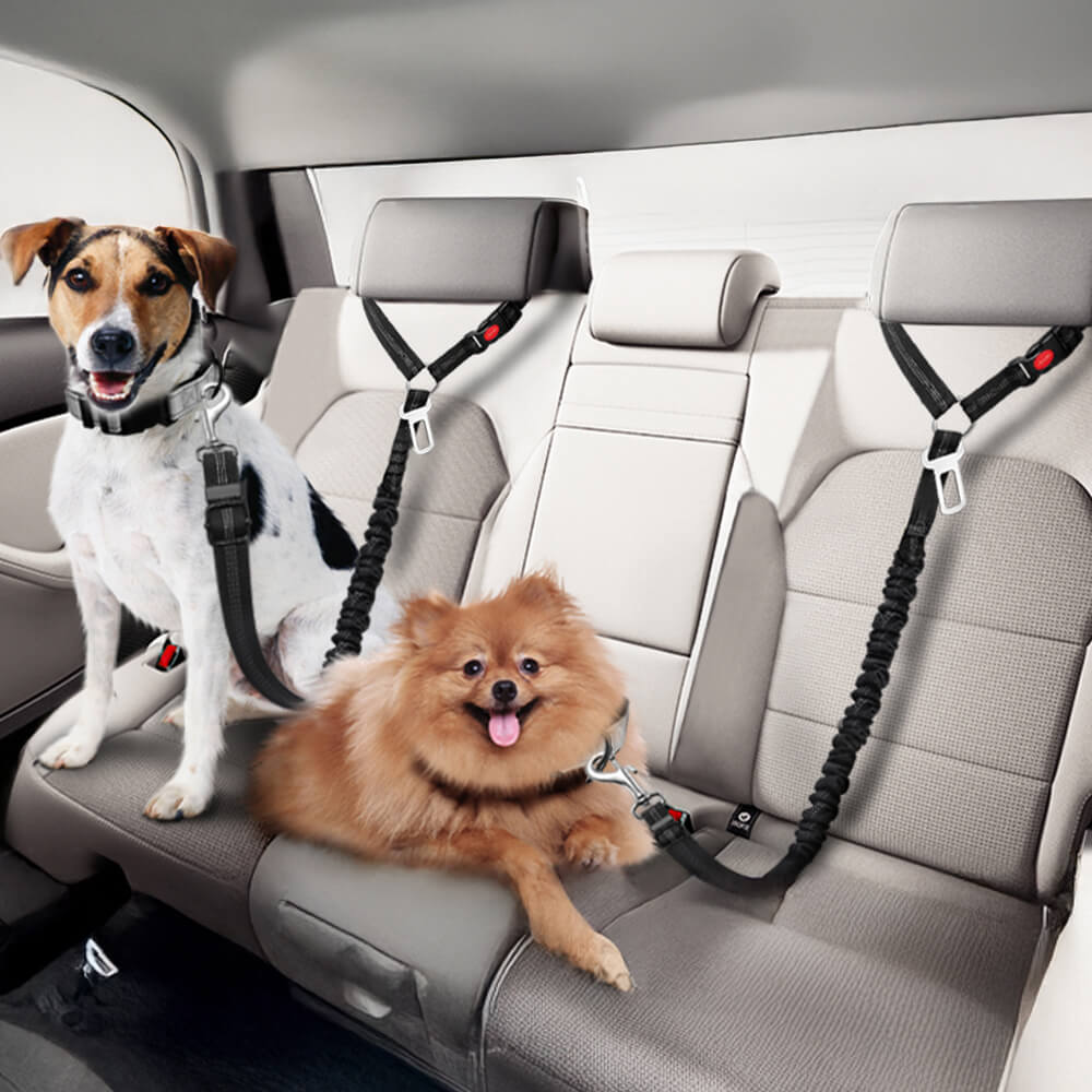 PawsSafe dog car harness in use with a large breed dog