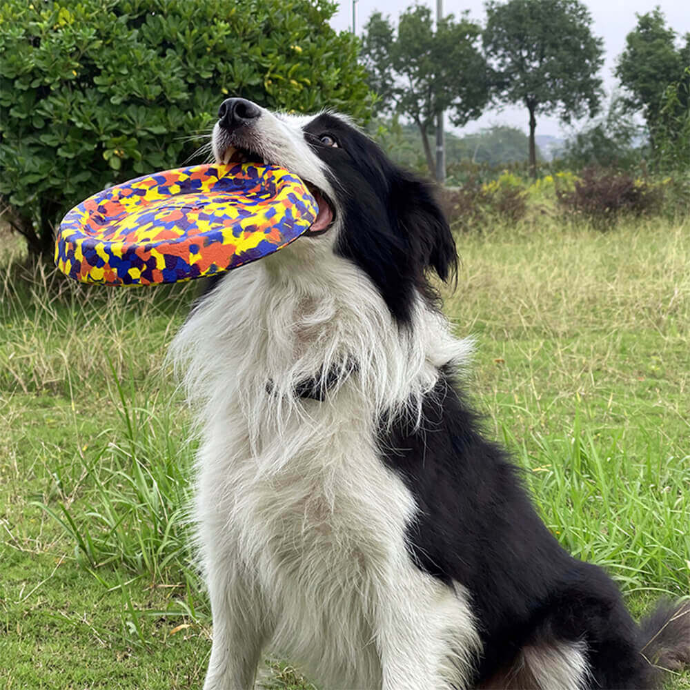 Camo floating dog frisbee mid-fetch in a lake