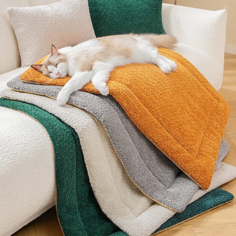Close-up of soft plush surface on large non-slip pet bed for dogs and cats