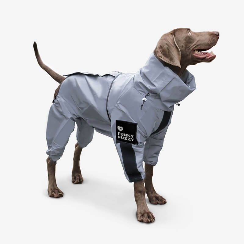 SafetyShine Reflective Dog Rain Coat on a dog, showcasing its high visibility reflective material