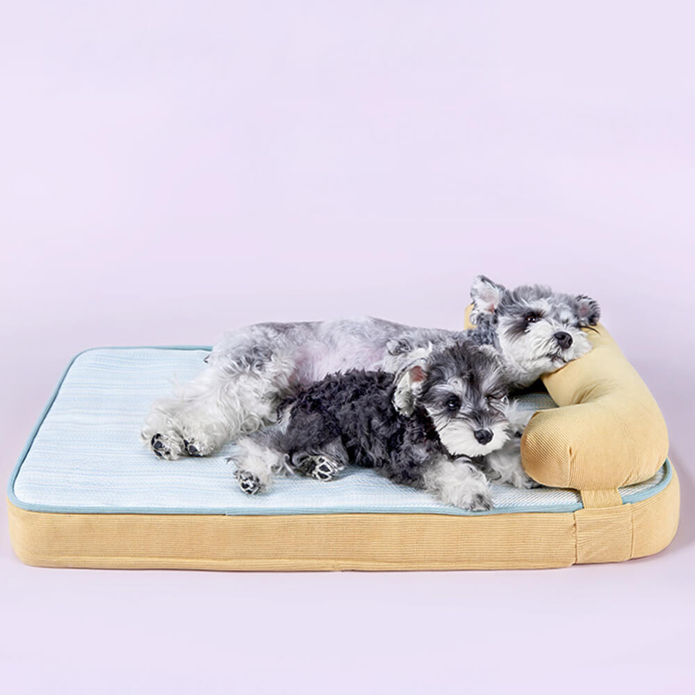 Orthopedic dog bed showing breathable surface and waterproof liner at a cozy home setting.