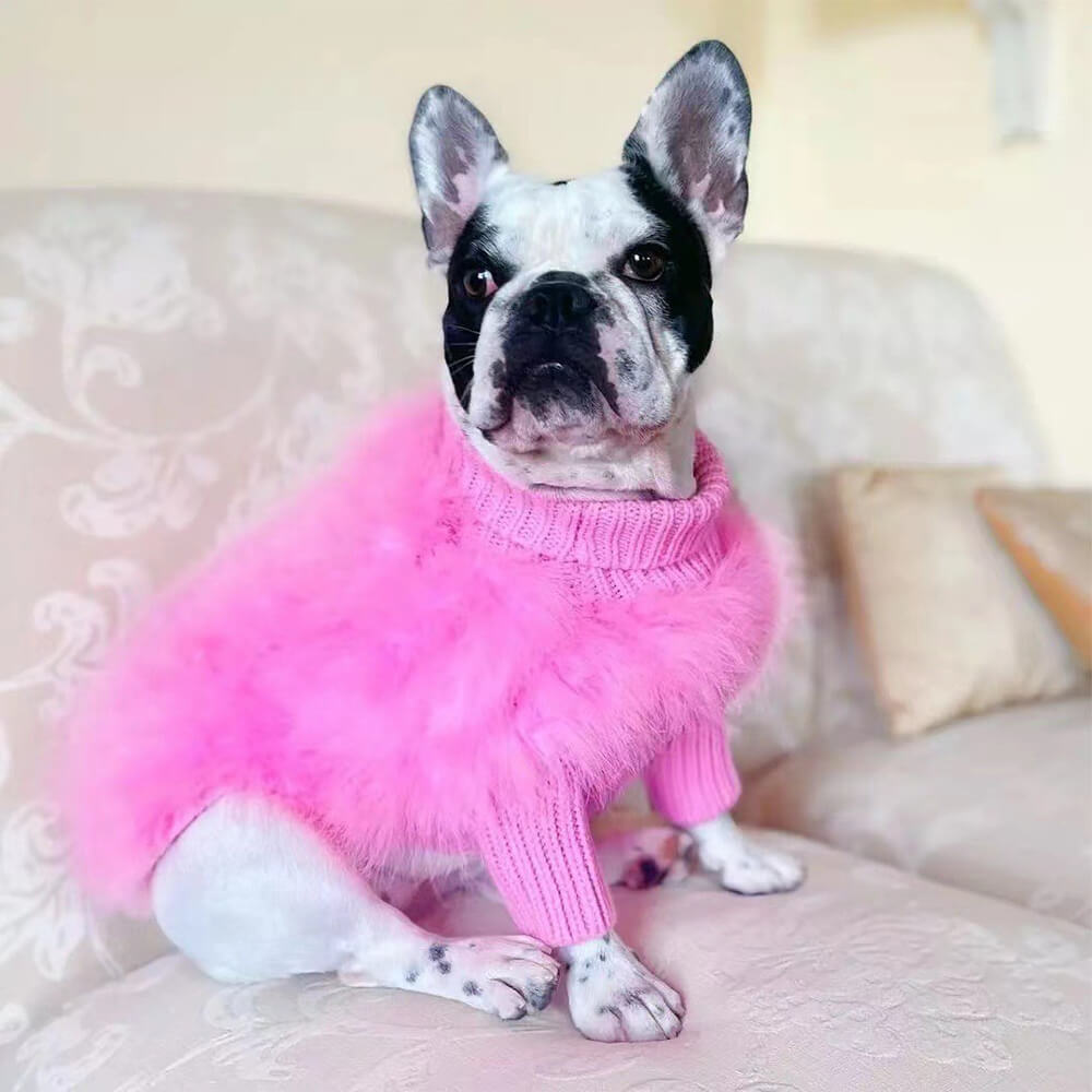 Luxury knit dog sweater in a stylish turtleneck, perfect for cold weather.