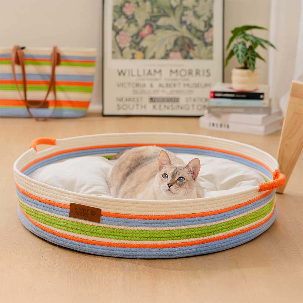 Artisan stripe cozy cat bed in a chic living room