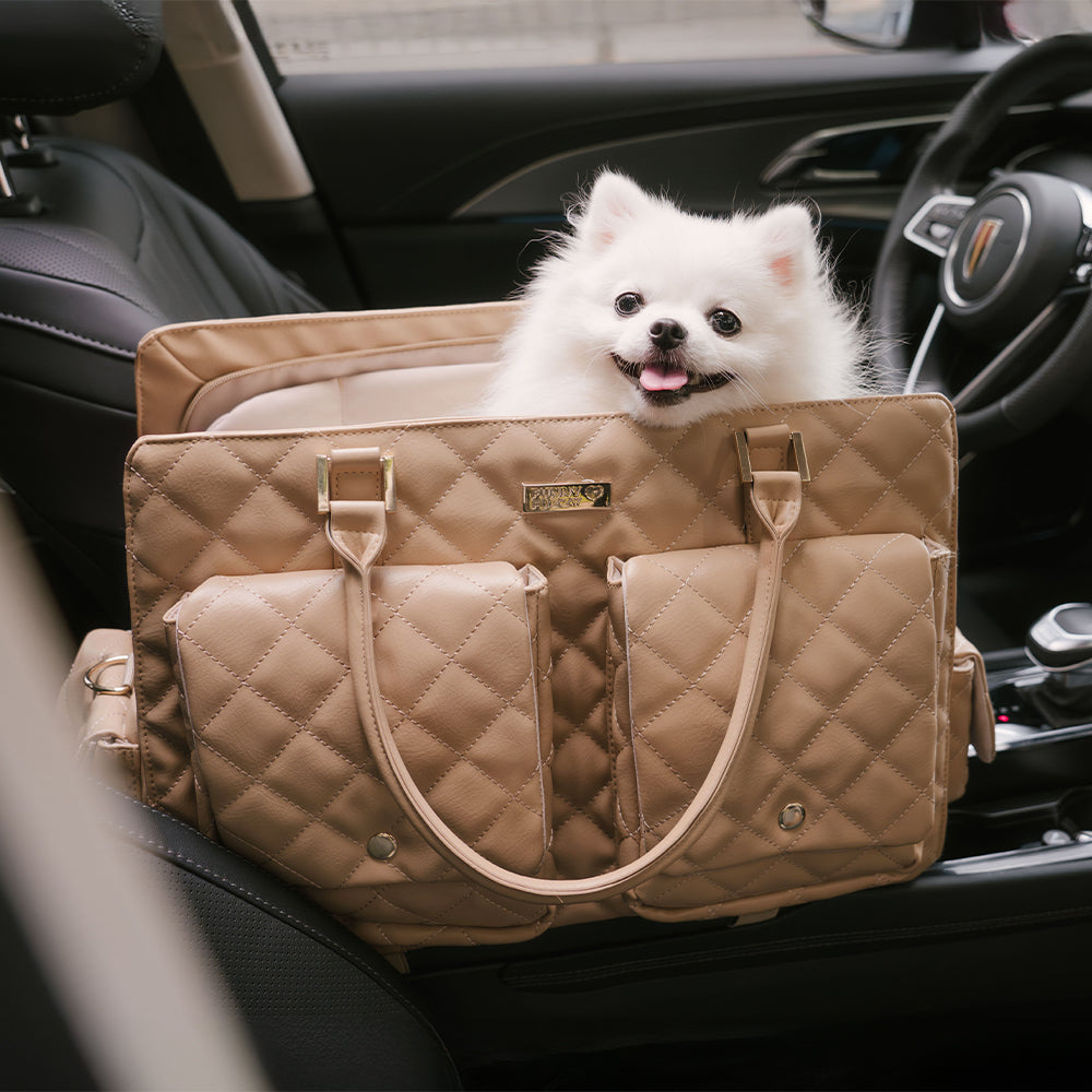A stylish dog travel bag in a modern design, with multiple pockets visible, perfect for city trips.