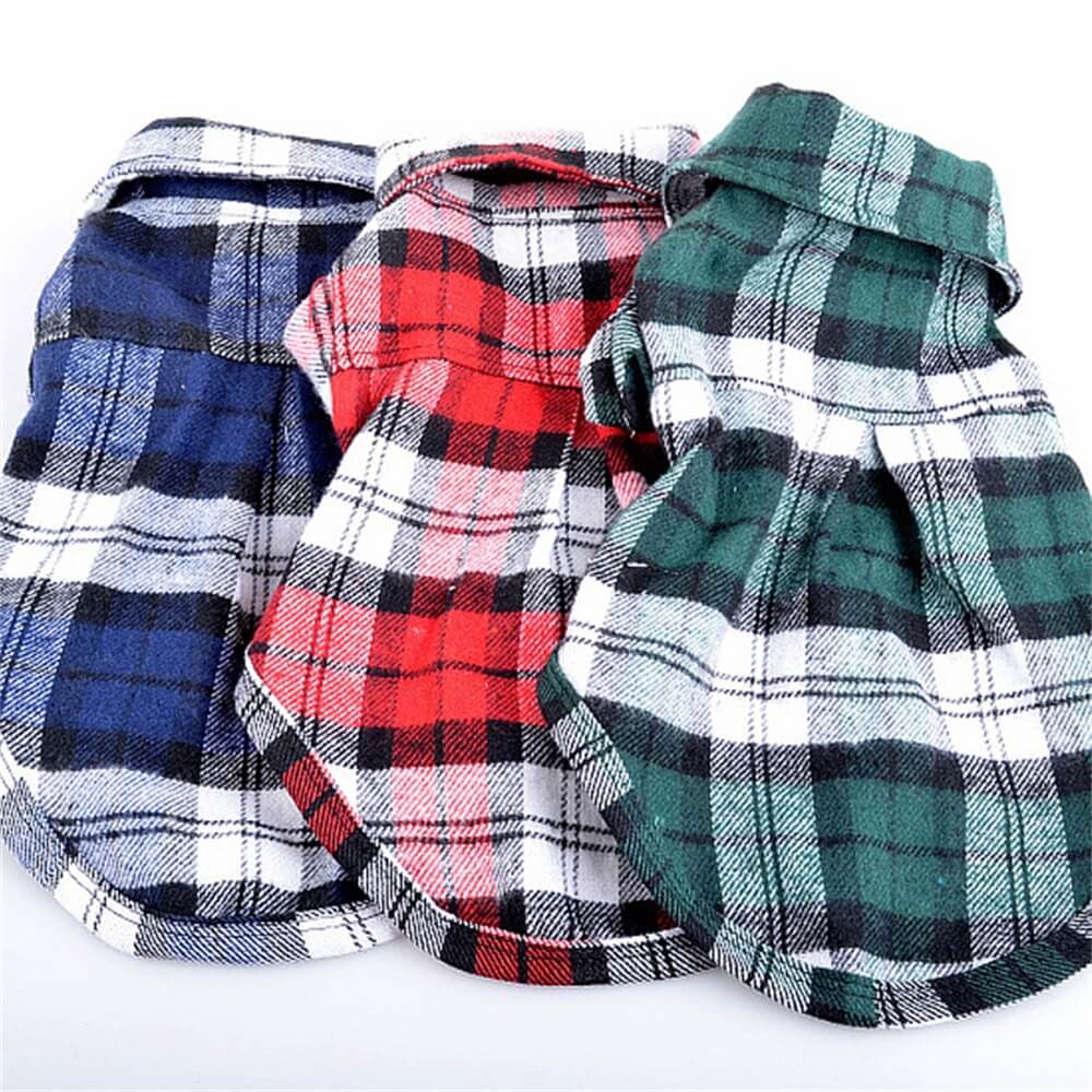 Plaid dog shirt on a small breed dog, looking stylish and comfortable
