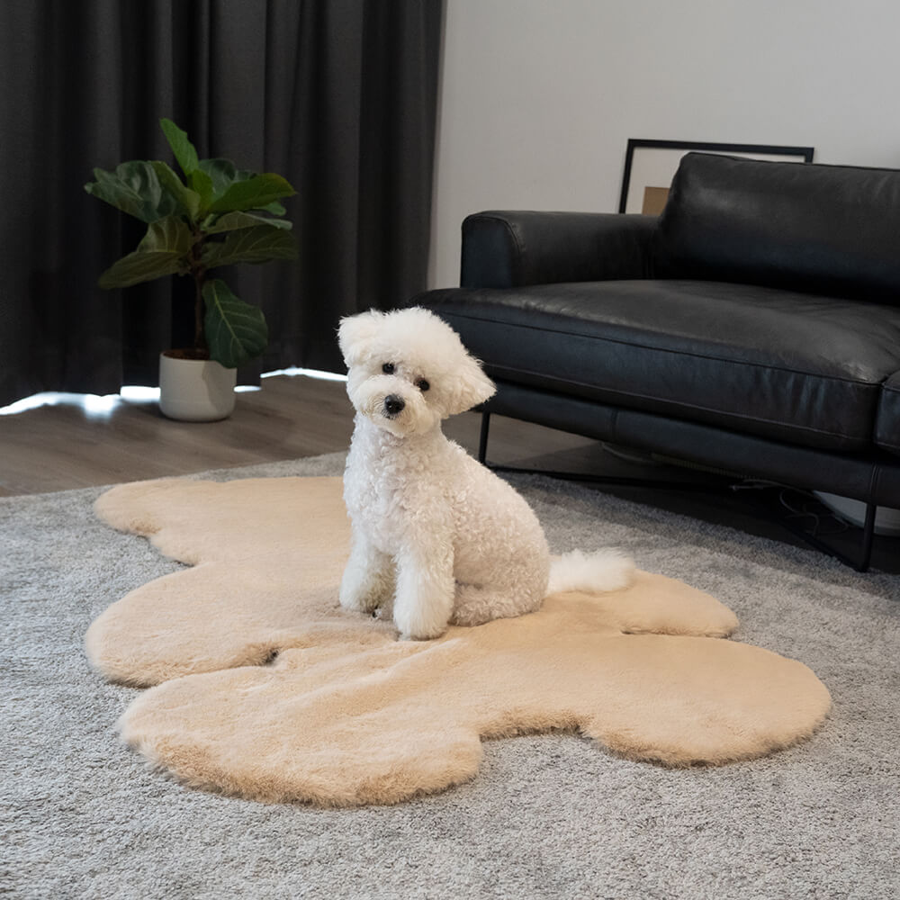 Cozy teddy bear pet cushion on a living room floor, showcasing its fluffy texture.