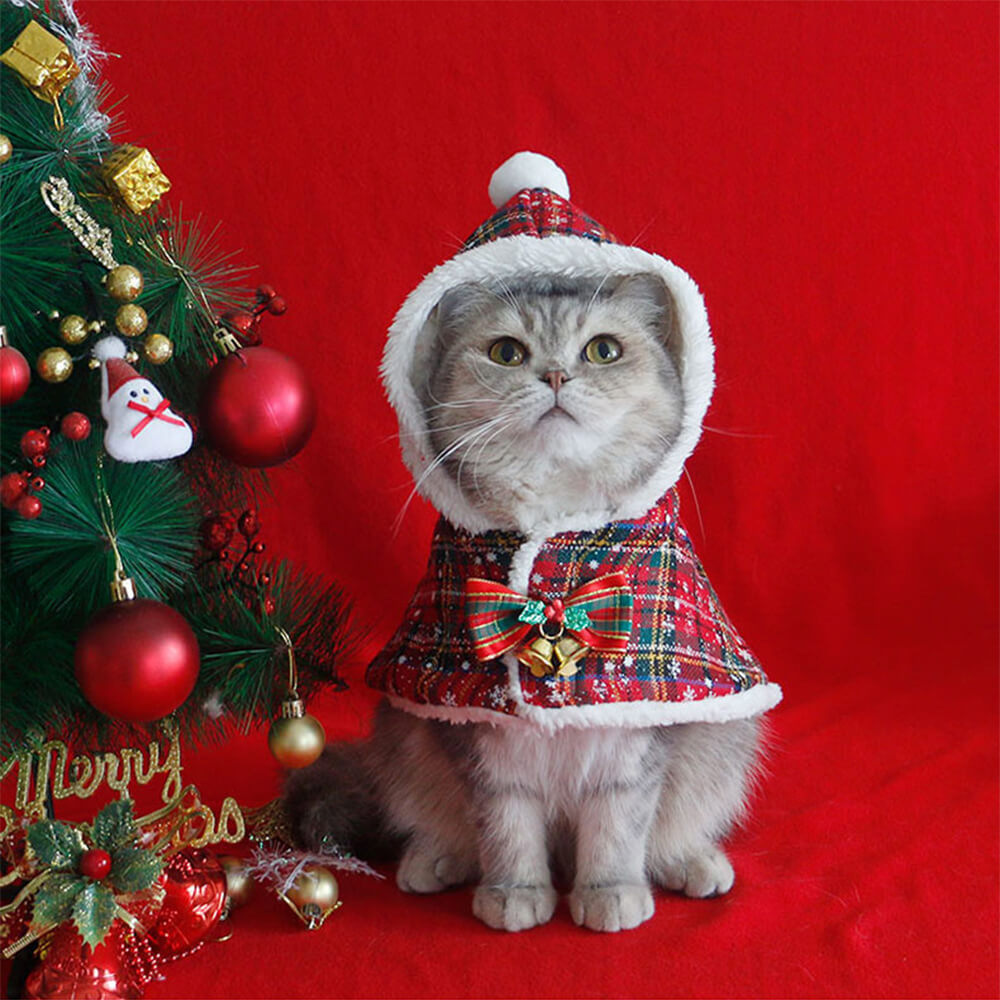 Small dog wearing a red plaid Christmas poncho with pom-pom accents
