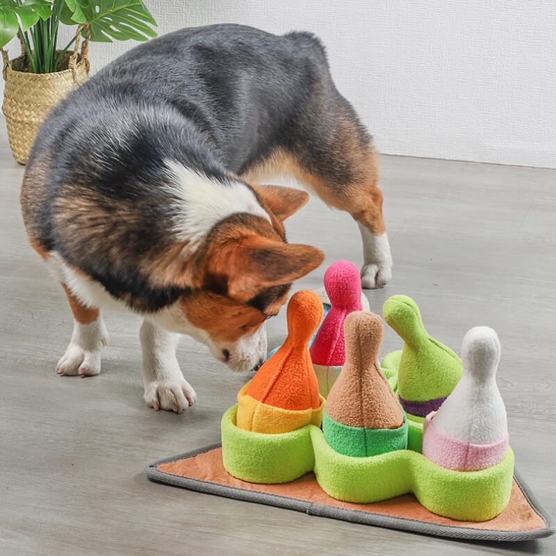 Interactive dog bowling toy with treat dispenser and squeakers