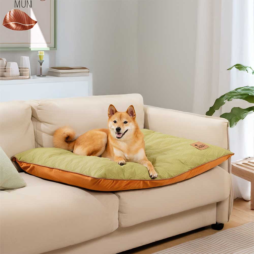 PawComfort Water-Repellent Calming Dog Mat in use on a couch
