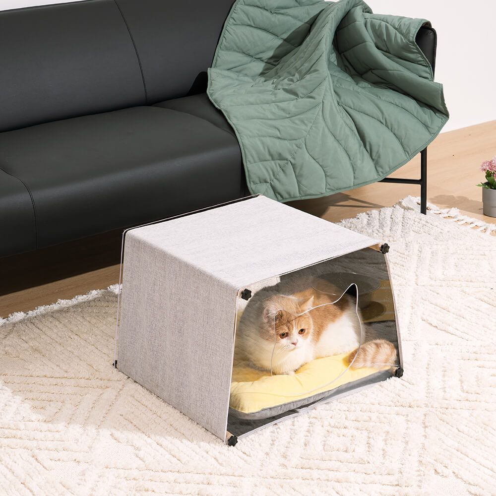 ModernCat Haven acrylic cat house with solid wood base, showcasing sleek design
