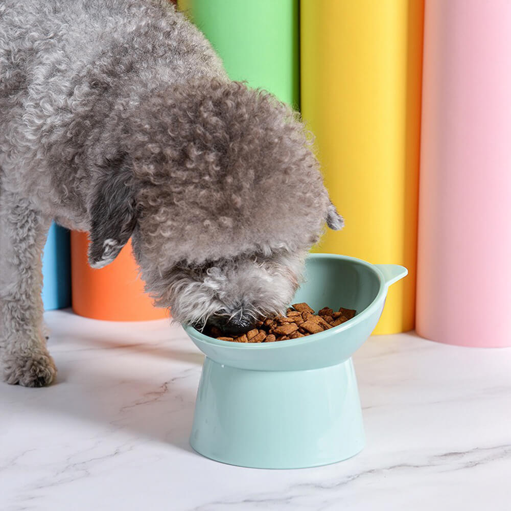 Close-up of Nordic style elevated cat bowls showing slanted interior design for easy feeding