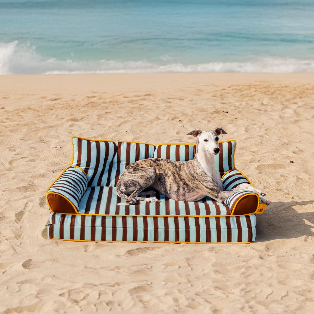 Sunny Siesta Waterproof Foldable Dog Bed in vibrant stripes, perfect for indoor and outdoor use.