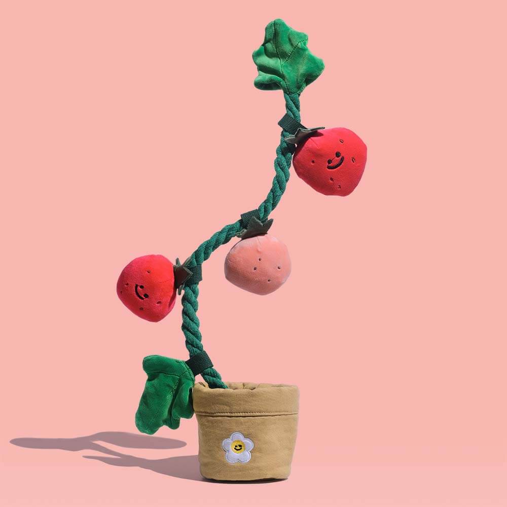 Close-up of strawberry potted dog toy with squeaky berries and green leaves