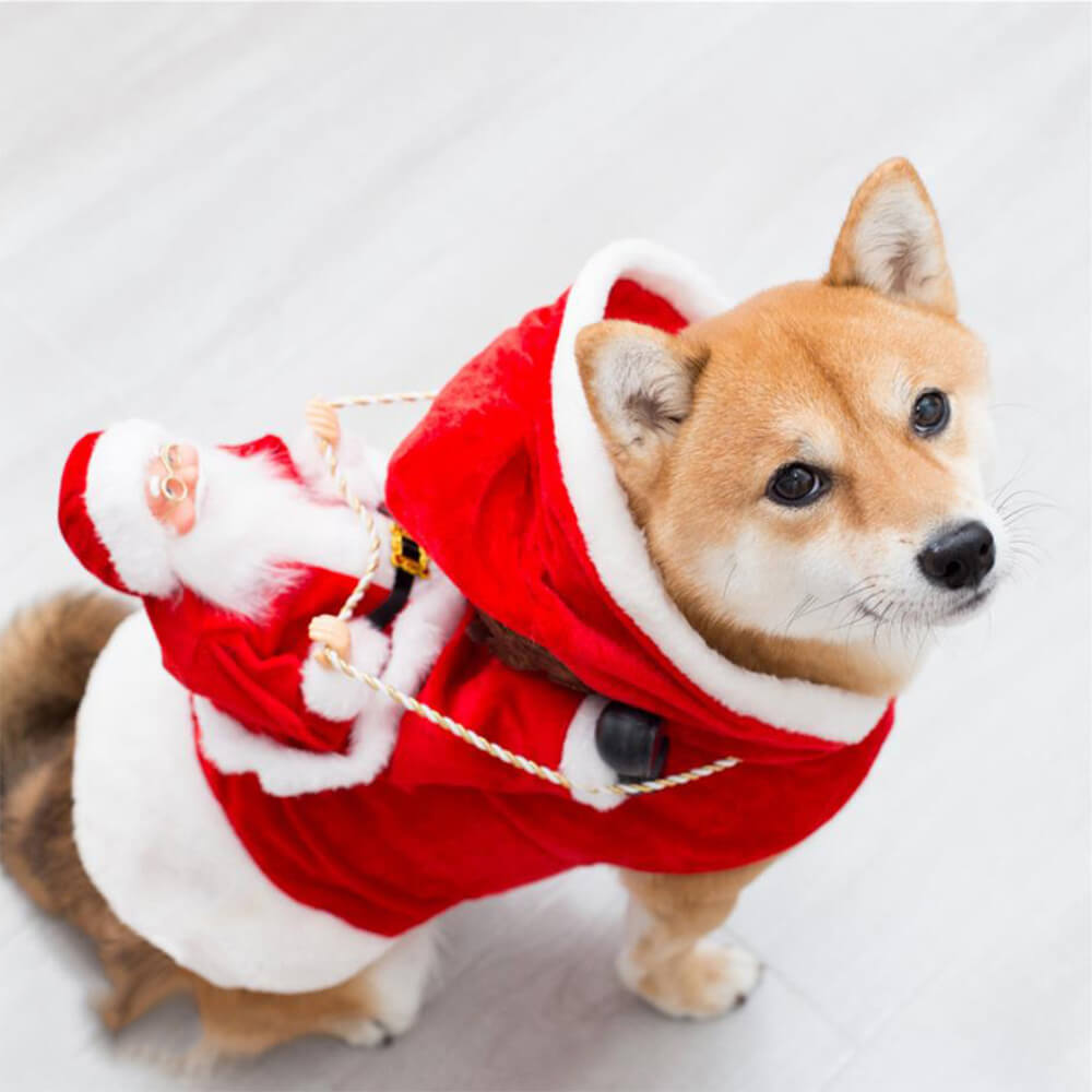Small dog in a Santa Claus costume, showcasing the festive design and cozy hoodie.