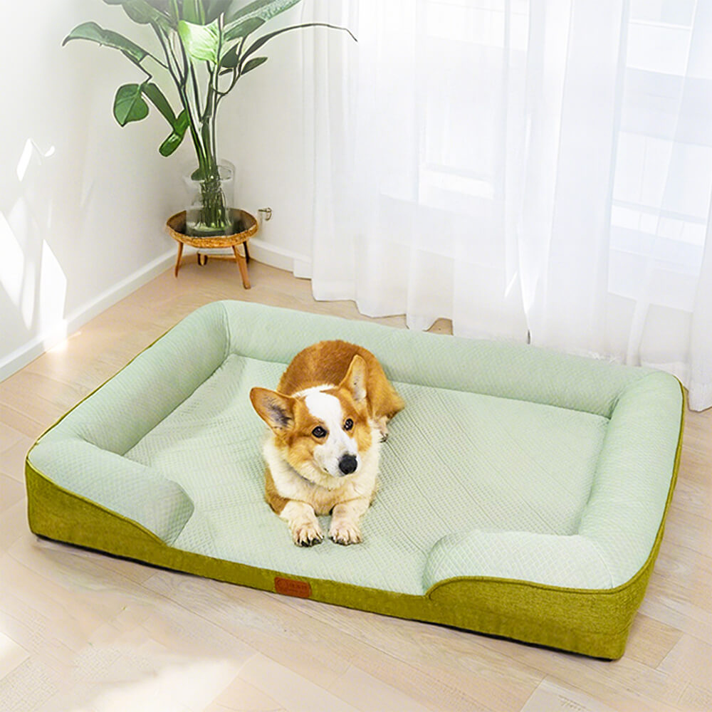 Cooling orthopedic dog bed with plush bolsters for large breeds.