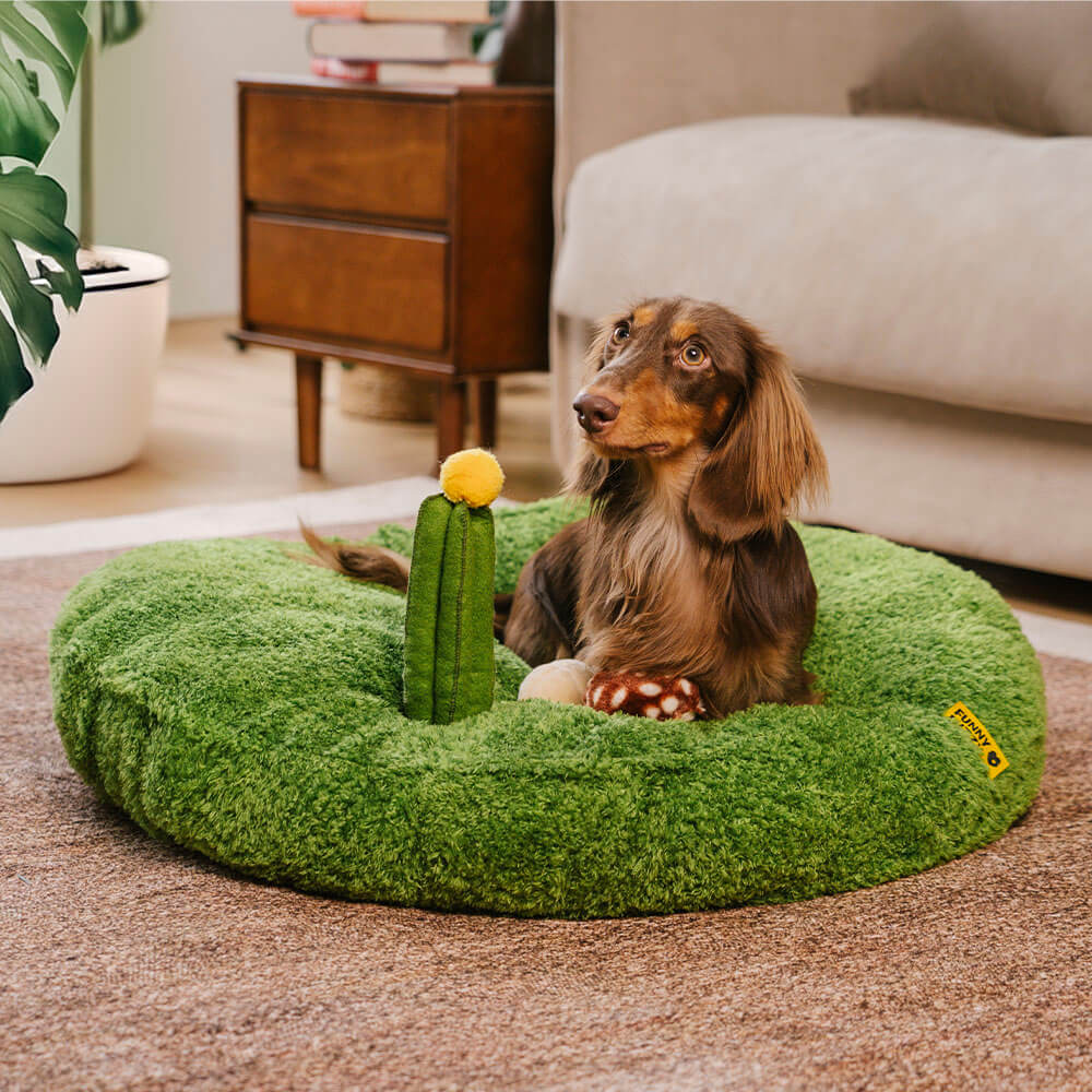 Front view of the Nature Explorer Plush Pet Bed with toys and nature theme.