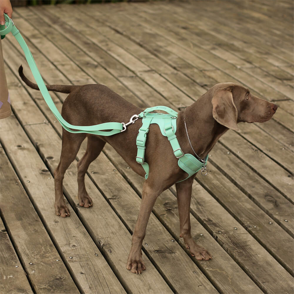 Eco-Walk Pro waterproof dog harness set on a beach walk with a happy pup