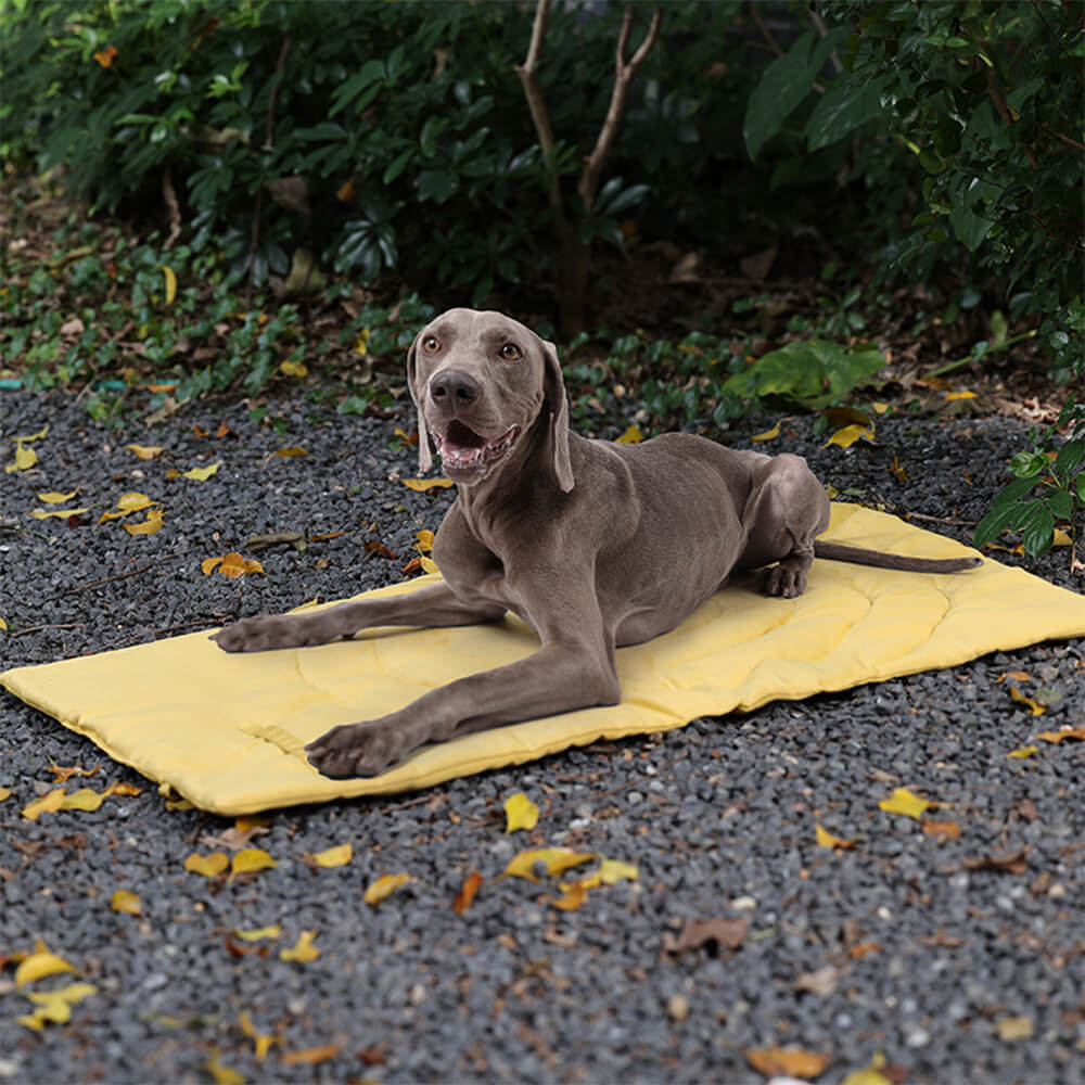 TrailBuddy dog mat laid out on car seat showing waterproof material