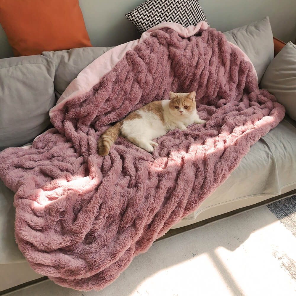 Close-up of LuxuraPet faux fur and velvet pet throw blanket showing soft texture