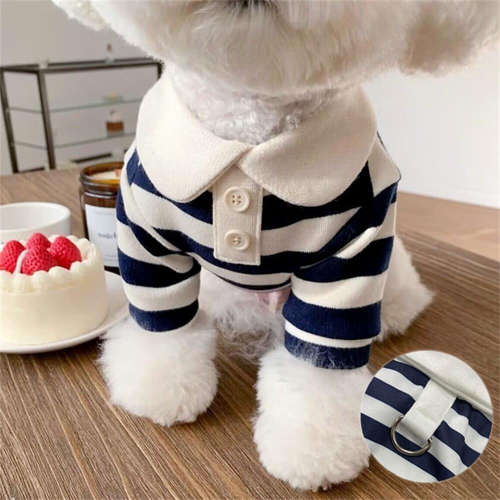 Dog wearing a pink and navy striped polo shirt outdoors
