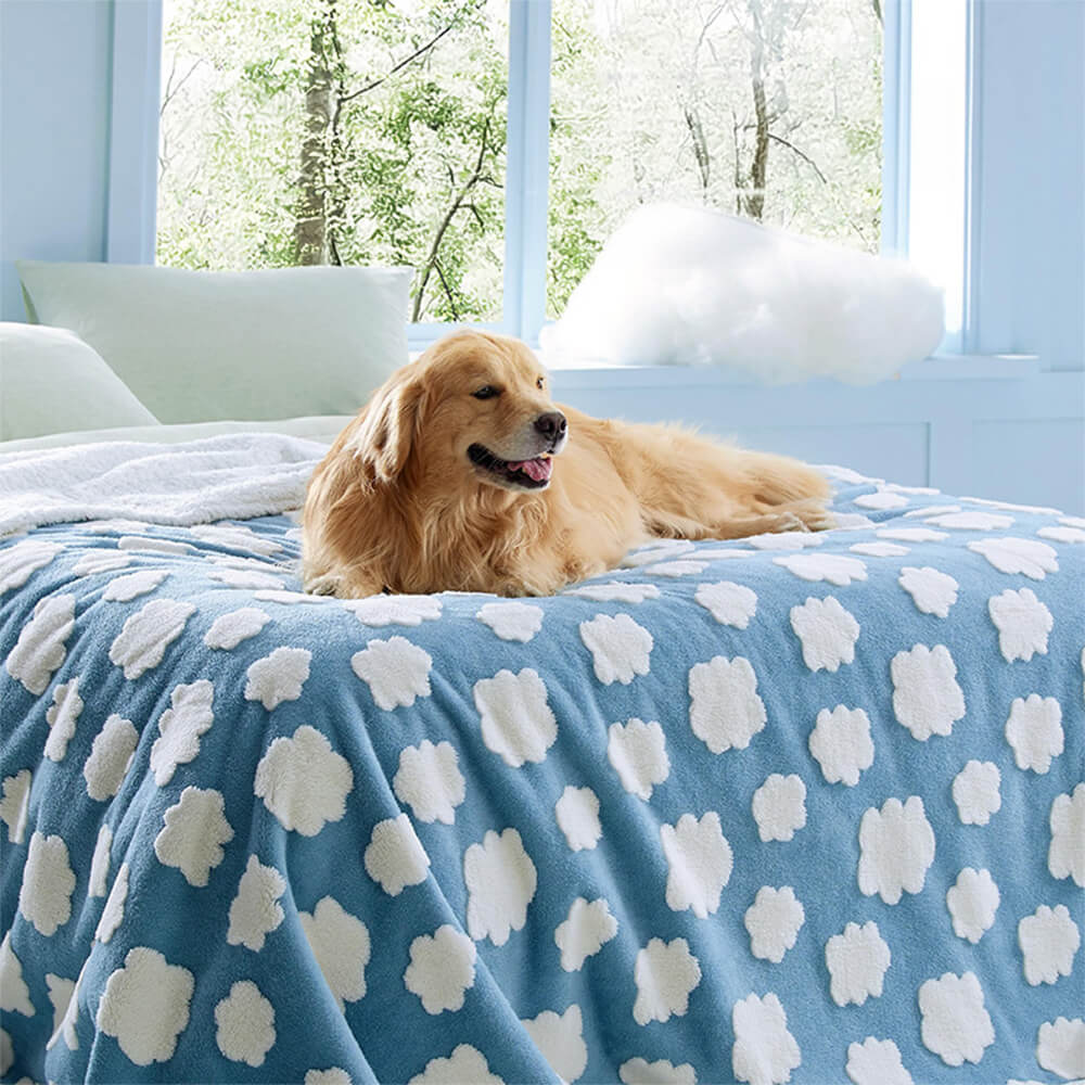 Close-up of sherpa fleece texture on waterproof dog blanket with cloud print