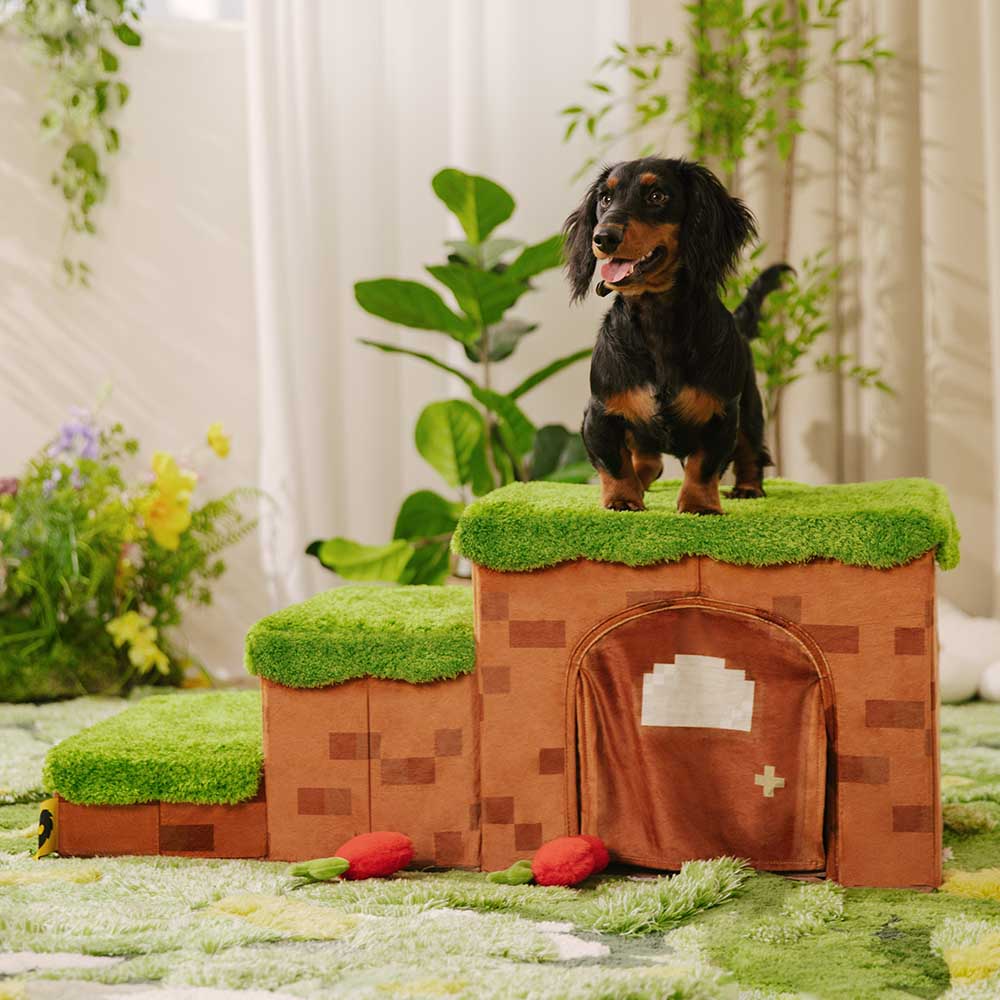 Pixel Retreat pet stairs showcasing hidden storage and foldable design from the front.