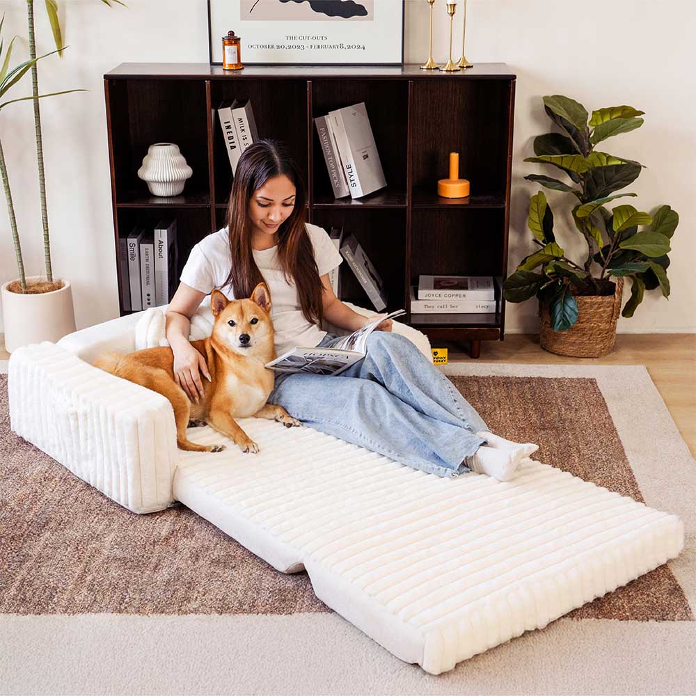 LuxeOrtho large plush dog bed with gray bolsters in a living room